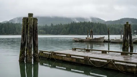 Old wooden pilings and a floating dock in a calm harbour, small unmarked boats and forested hills under low cloud.